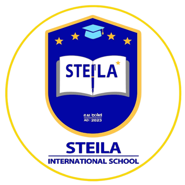 STEILA International School | Kindergarten, Primary & Cambridge Programs logo
