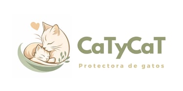 GatoLearn logo