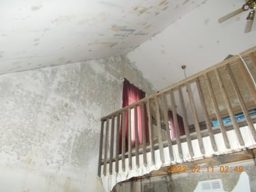 Mold Remediation