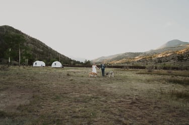 newlyweds with dogs in field with mountain backdrop