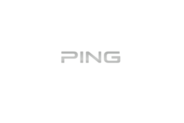 PING X logo