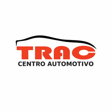 Fidelis Auto logo