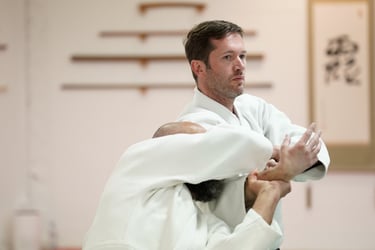 Professeur d'Aïkido de Mérignac Matsukazé : Ludovic Caudéran 6e Dan Japon