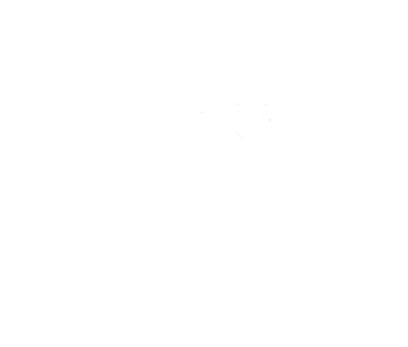 Raven logo