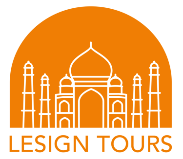 Travel With Lesign logo