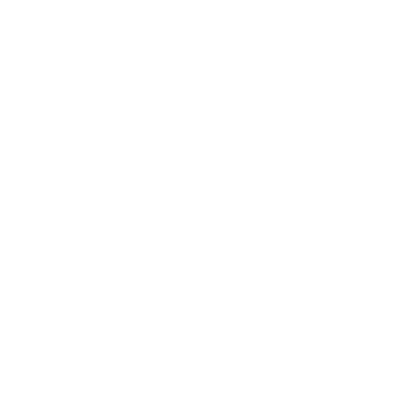 Zamora Auto Detailing logo