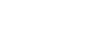 Livizit - Nederland logo