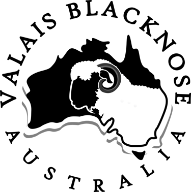 Eukalyptus logo