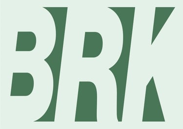 BERRAKAT logo
