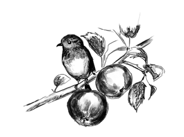 Alvy Carragher Poet and Writer logo