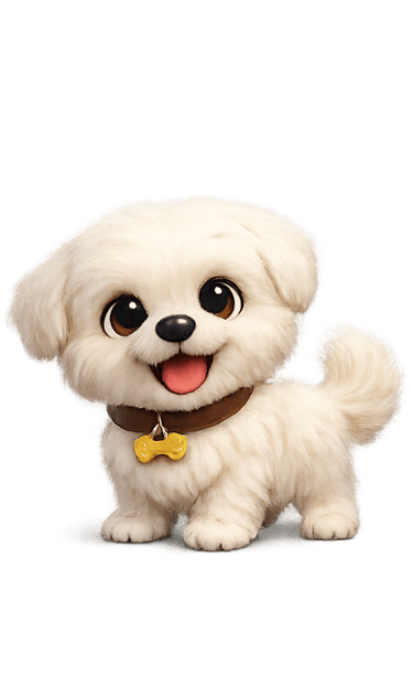 Flocky the fluffy dog.