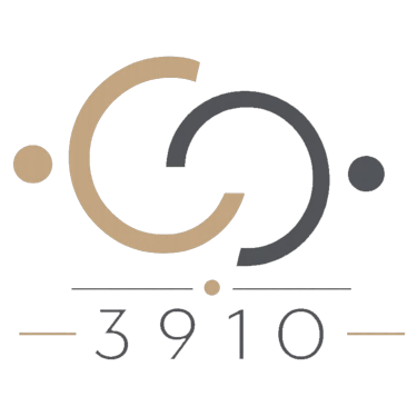 Conecta 3910 logo