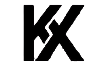 Verdelis logo