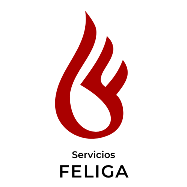Servicios Feliga logo