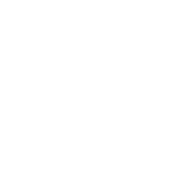 NOIR logo
