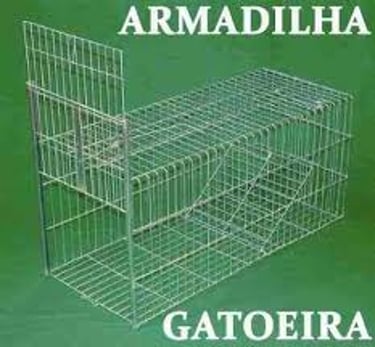 aluguel de gatoeira logo