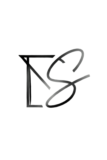 Denistudio logo