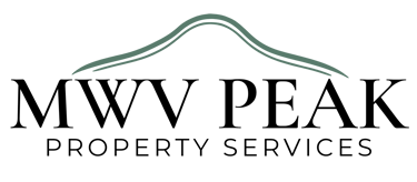 BrightShine logo