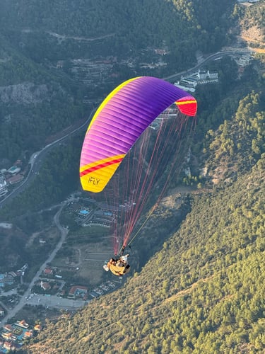 puple color hobbt acro paragliding