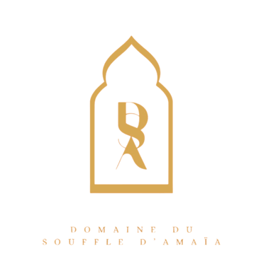 Domaine du souffle d'amaia logo