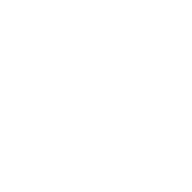 The Voice Behind Stories logo