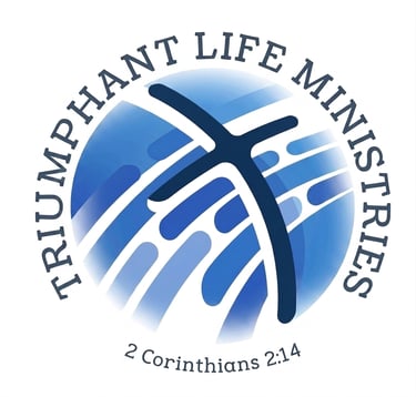 LumenVita logo