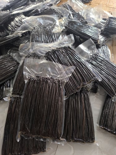 Vacuum-sealed bundles of premium whole black vanilla beans prepared for wholesale distribution.