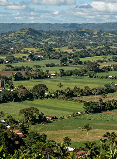 An expansive view of a lush green agricultural valley in a tropical region during a clear, sunny day.