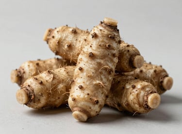 Group of malanga roots on a neutral background, highlighting the natural quality and texture for international trade.