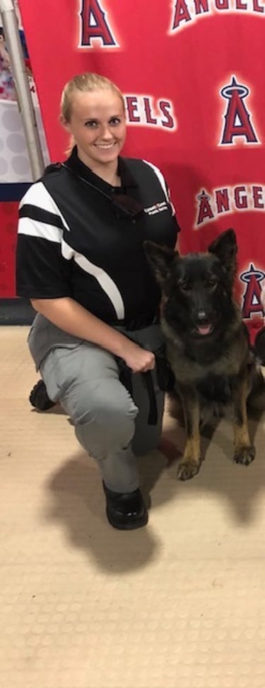 K9 Odie and Handler at Angels baseball stadium