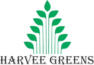 Verdelis logo