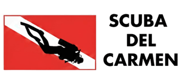 SCUBA DEL CARMEN logo