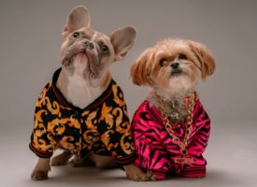 Dos perritos tiernos con un estilo muy hip hop