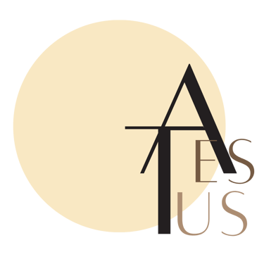 Aestus International logo