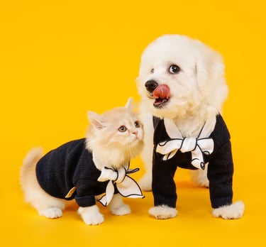 NimblyPaws logo