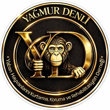 Yagmurdenliyabanhayati.org logo