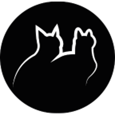 Gato Preto Dá Sorte logo