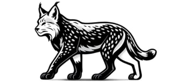 Div Svet Makedonija logo