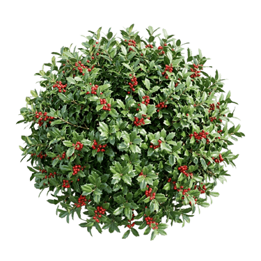 Estimator Buddy logo