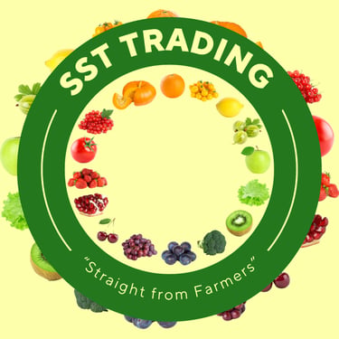 SST Trading logo