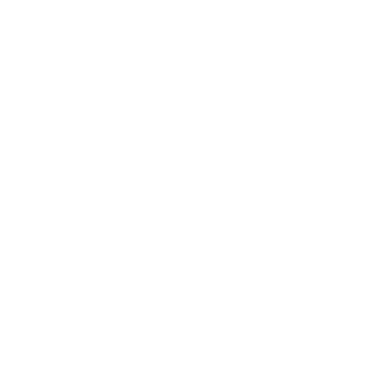 Cocoon Studios logo