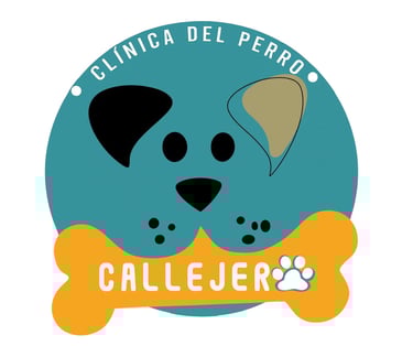 Corazón Callejero logo