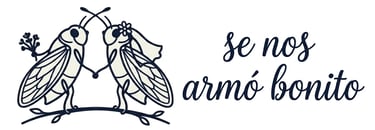 Se nos armó bonito logo