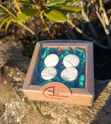 fèves traditionnelles en porcelaine pour l'épiphanie