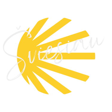 The Voice Behind Stories logo