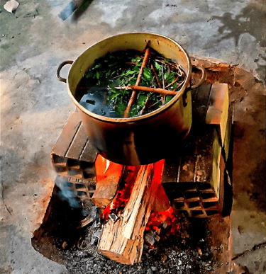 ayahuasca infusion of herbs boiling over a rustic wood stove, with fresh leaves and green leaves.