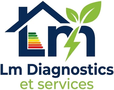 LM Diagnostics et Services logo