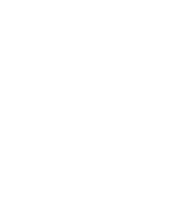Lagos Fencing Club logo
