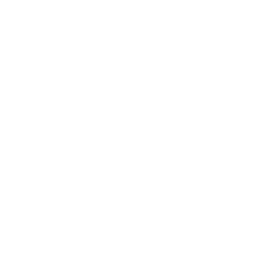 Ammi Global Usa  logo