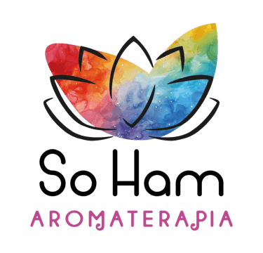 So Ham logo